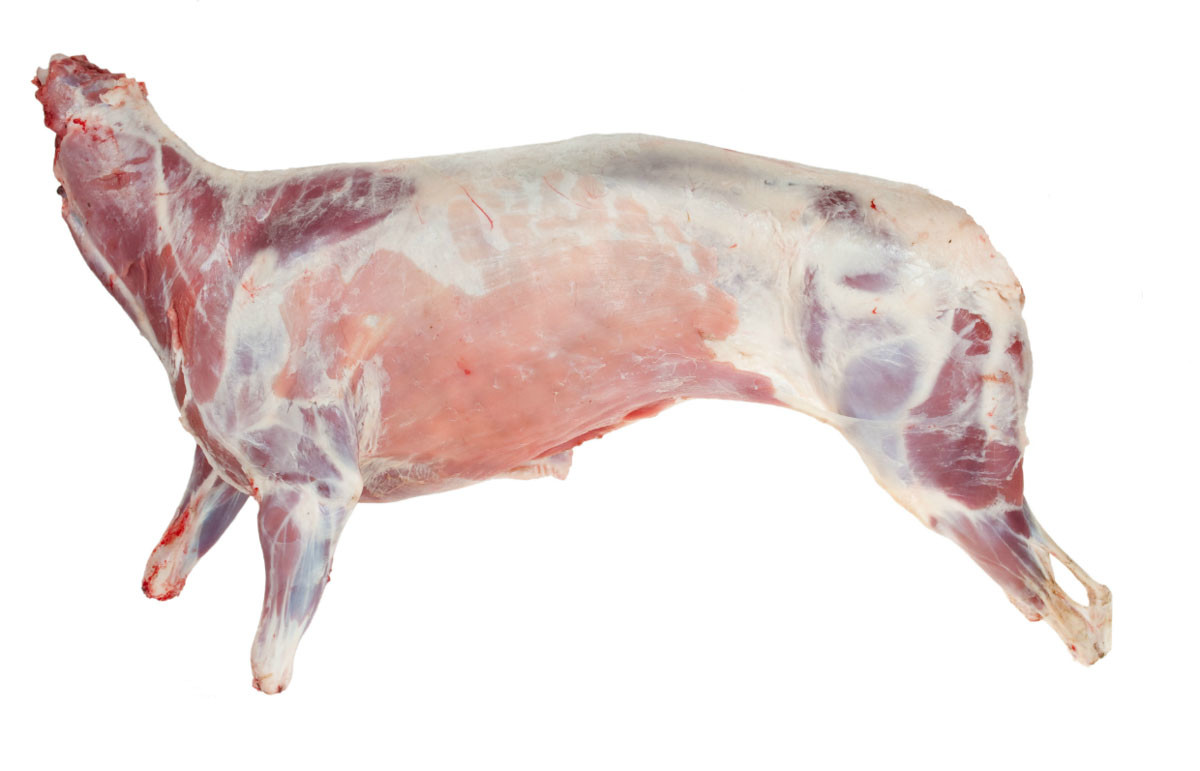 whole sheep
