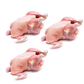 3 Baby Chicken