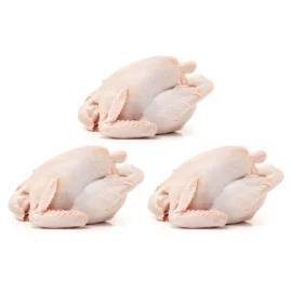 3 Chicken Medium